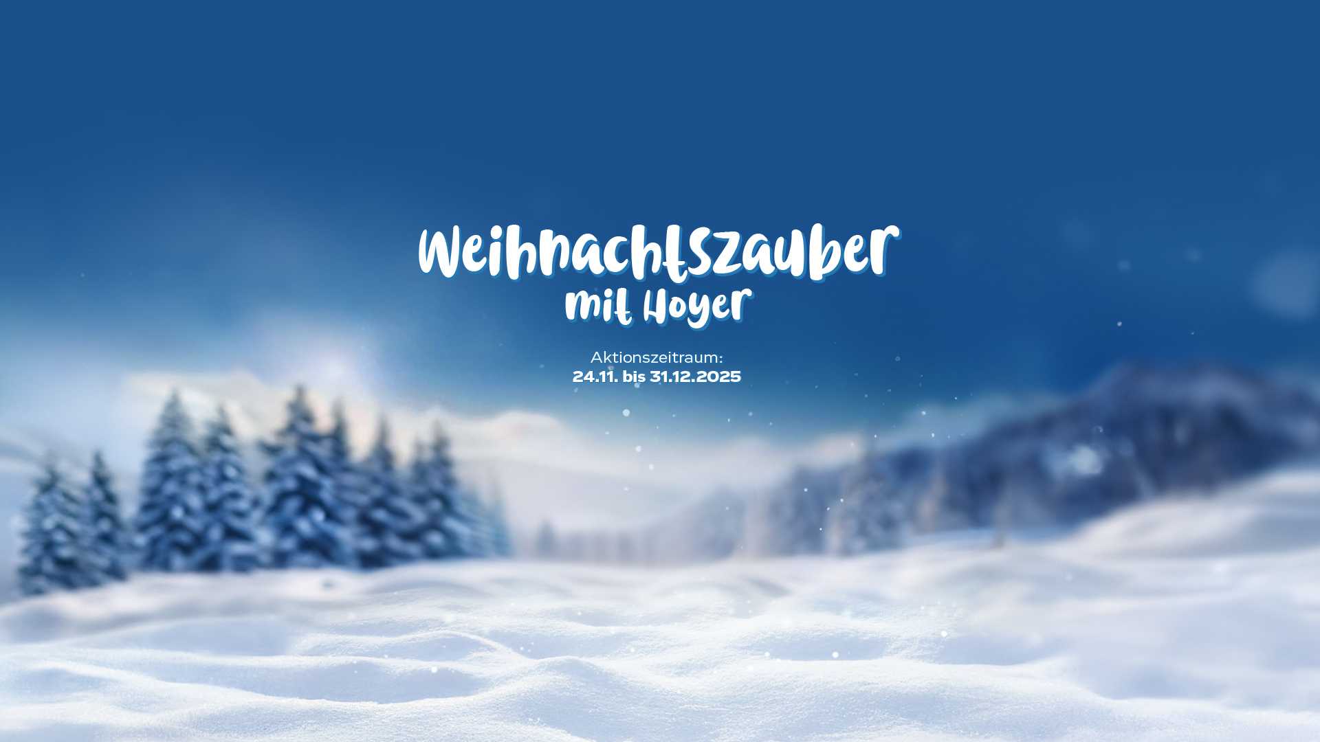 Winterlandschaft mit Hoyer Informationen zur Winteraktion