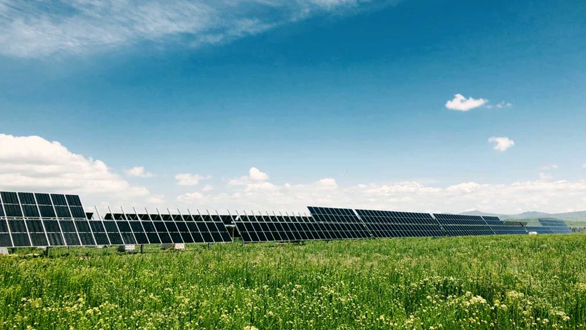 Photovoltaikanalage auf Feld mit blauem Himmel